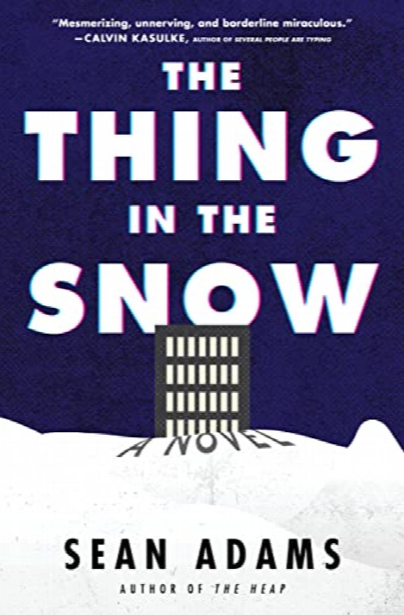 Image for {NEW} The Thing in the Snow: A Novel