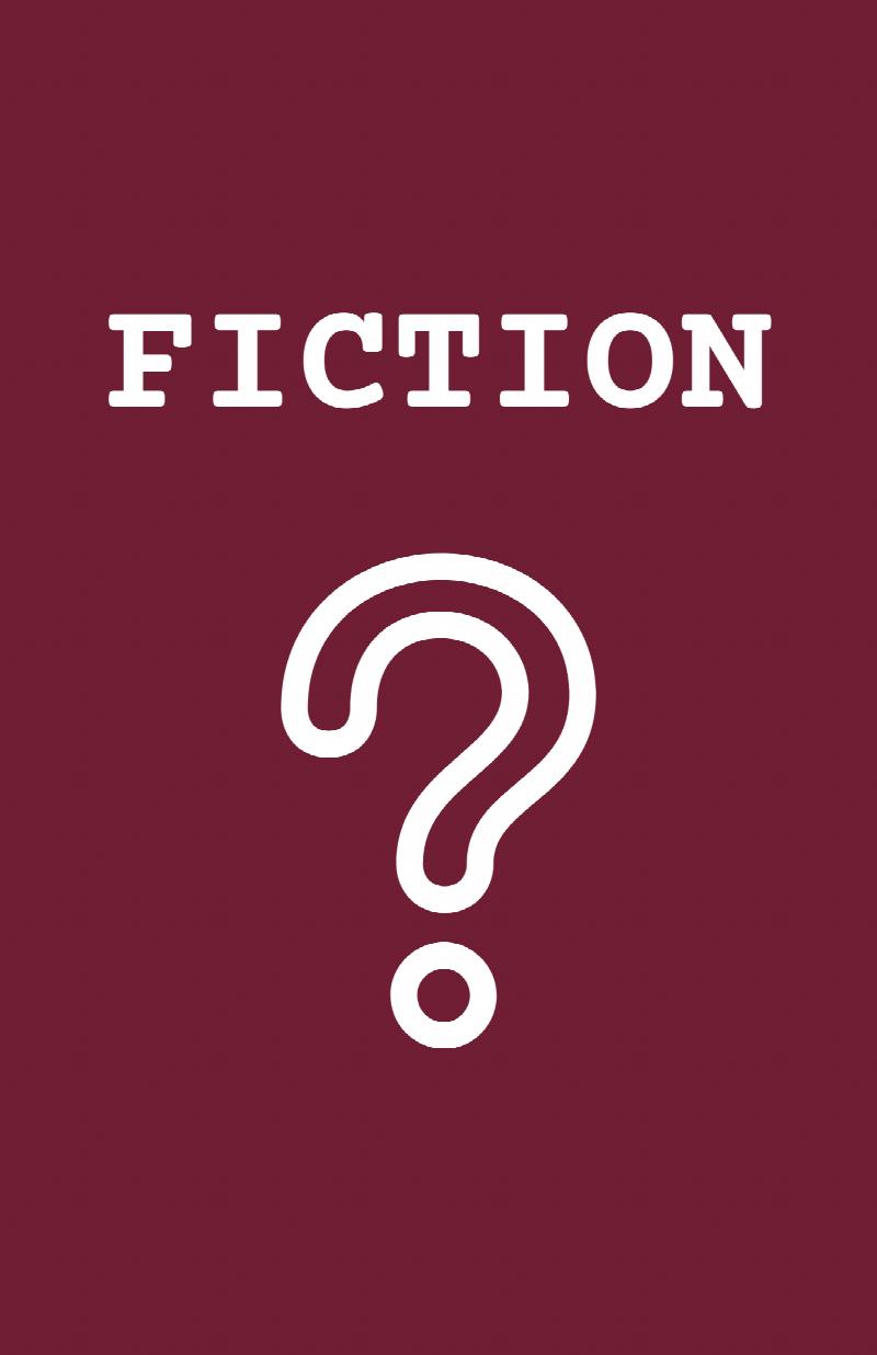 Image for Fiction Surprise Bag/Box